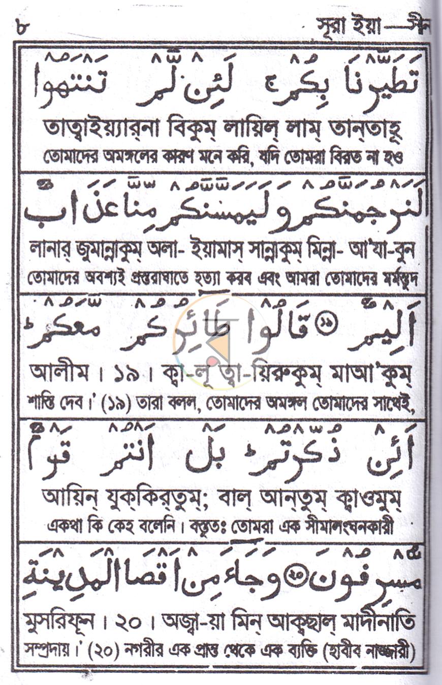 পাতা 6