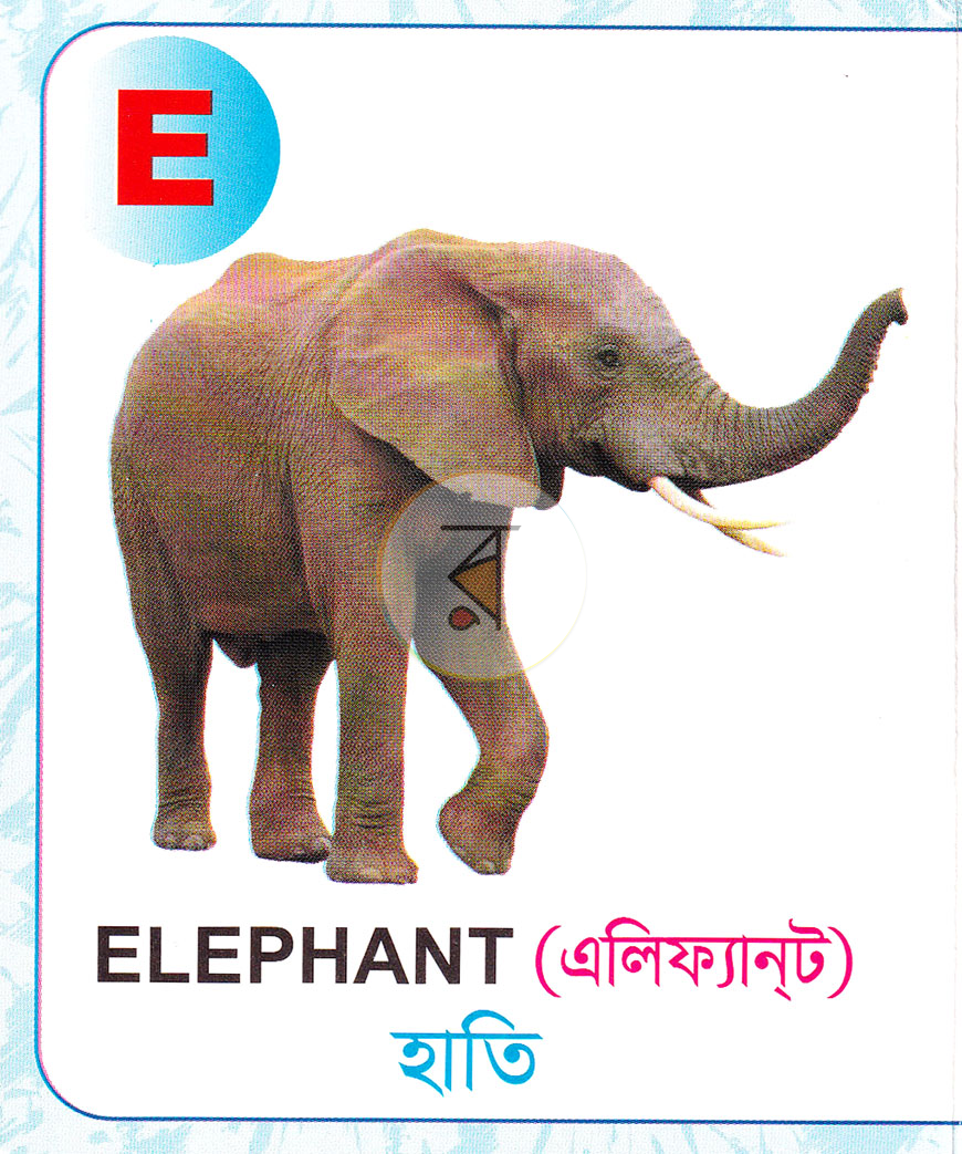 পাতা 5