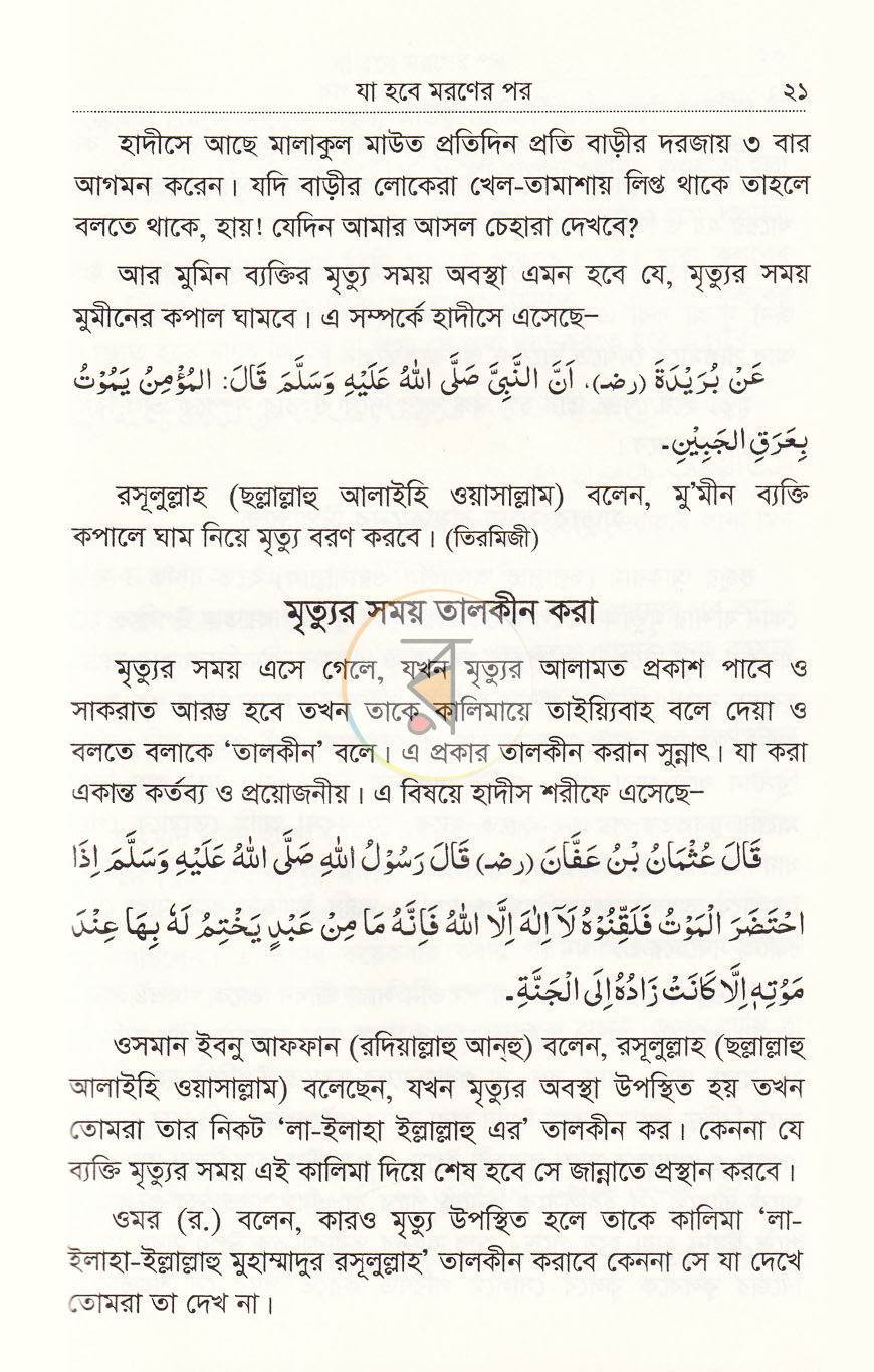 পাতা 11