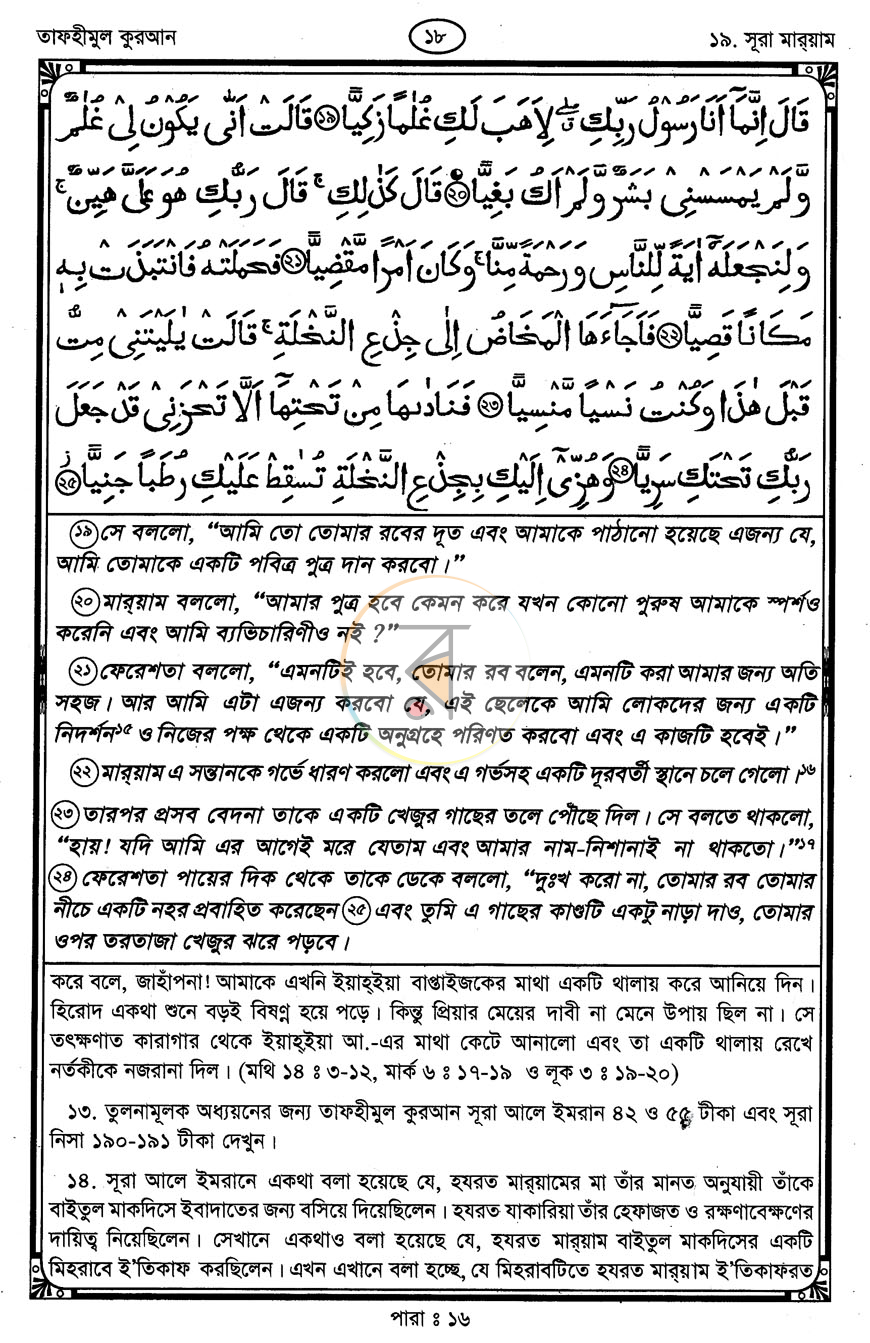 পাতা 11