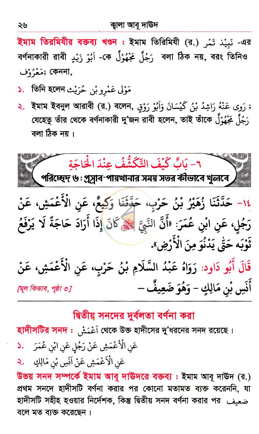 পাতা 19