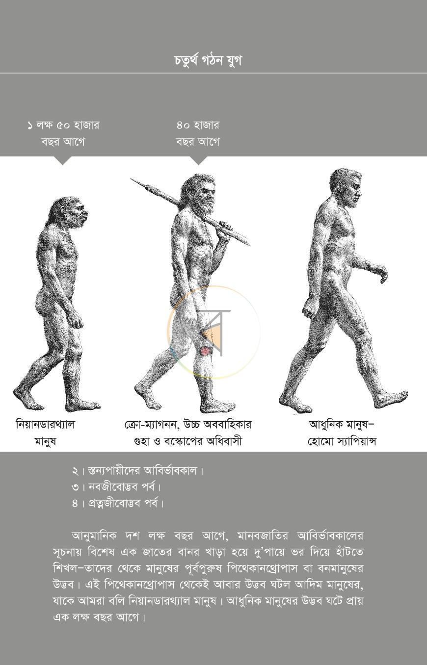 পাতা 7