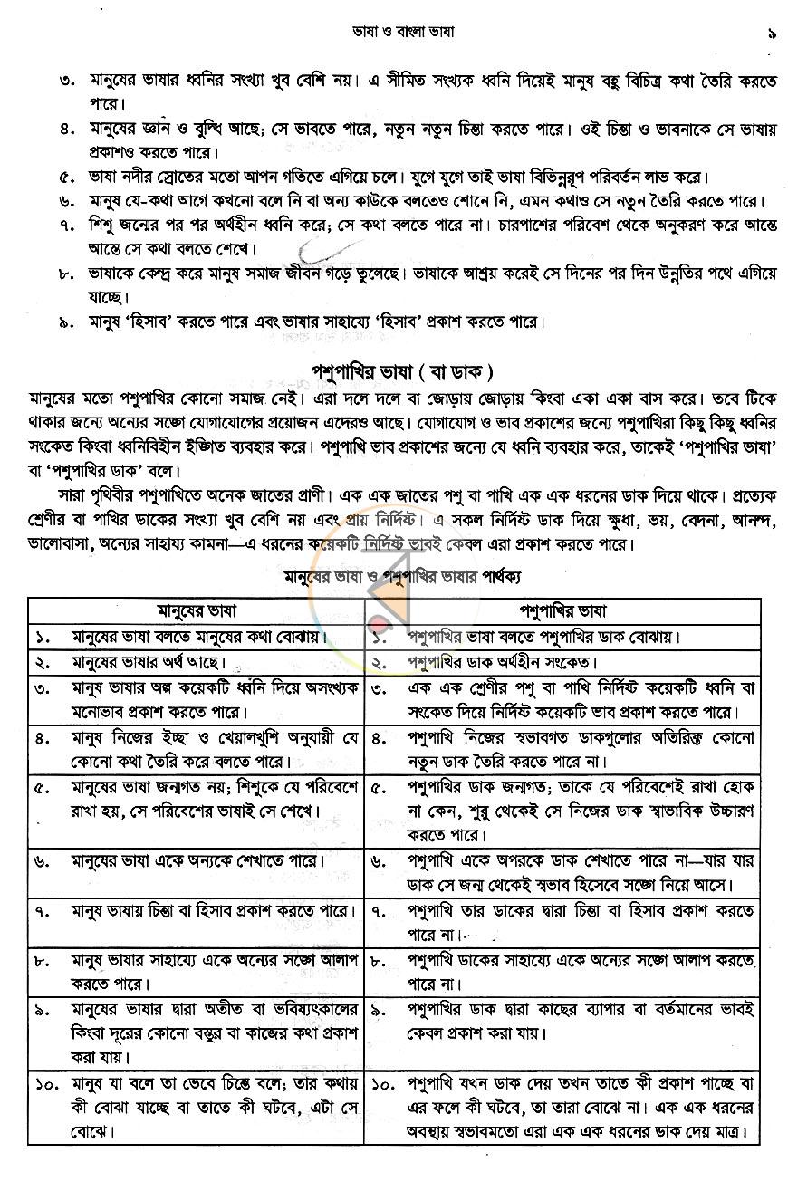 পাতা 13