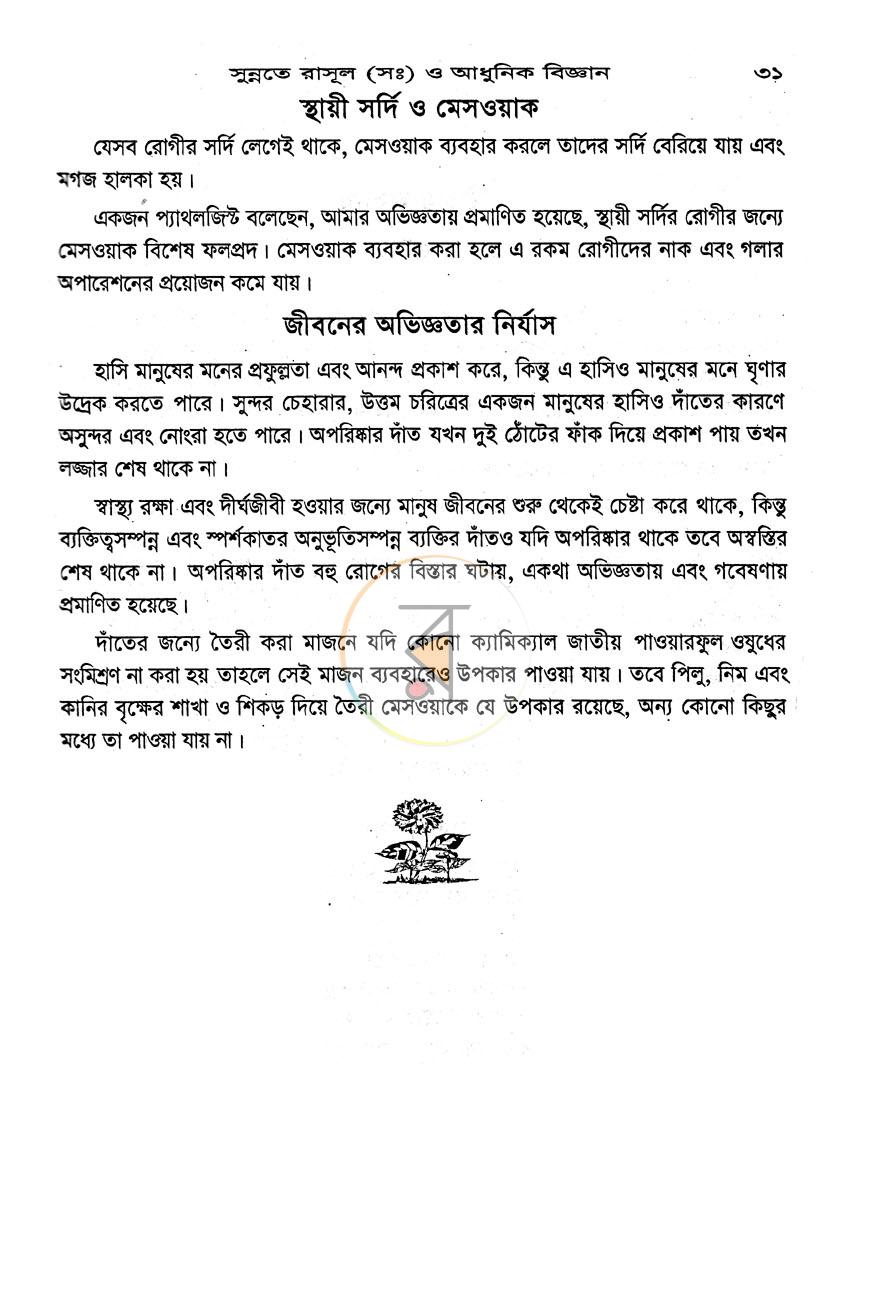 পাতা 13