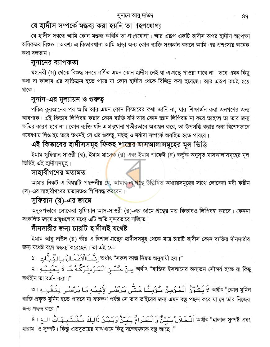 পাতা 13