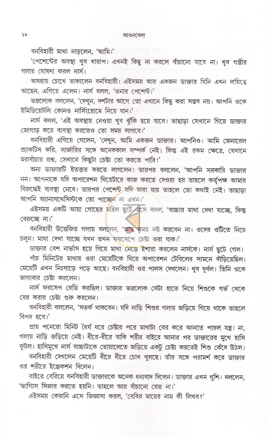 পাতা 13