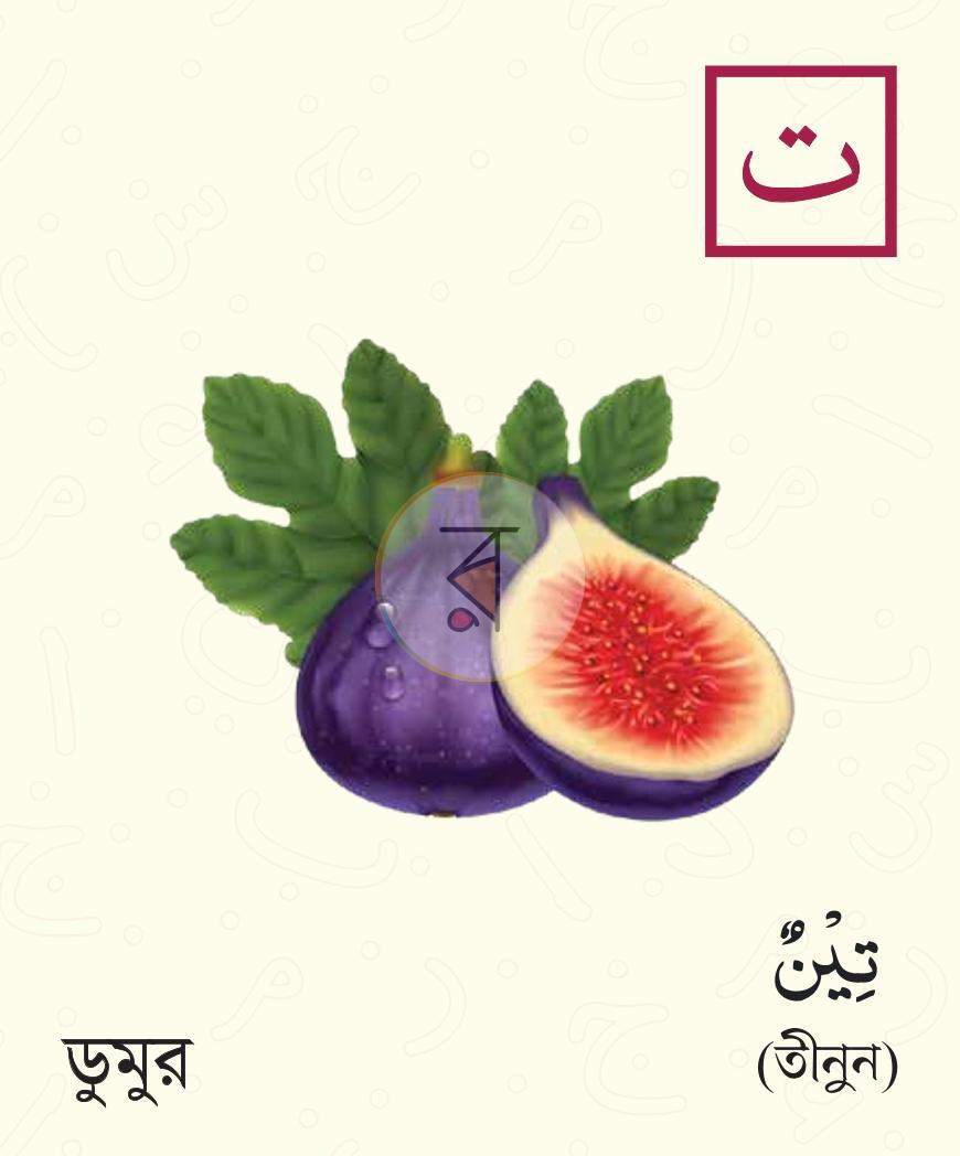পাতা 4
