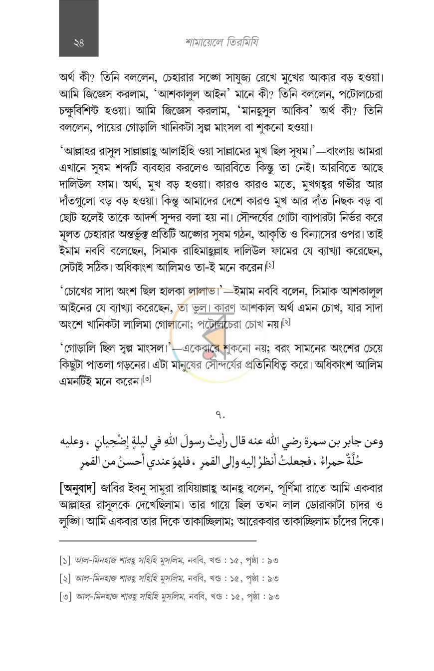 পাতা 13