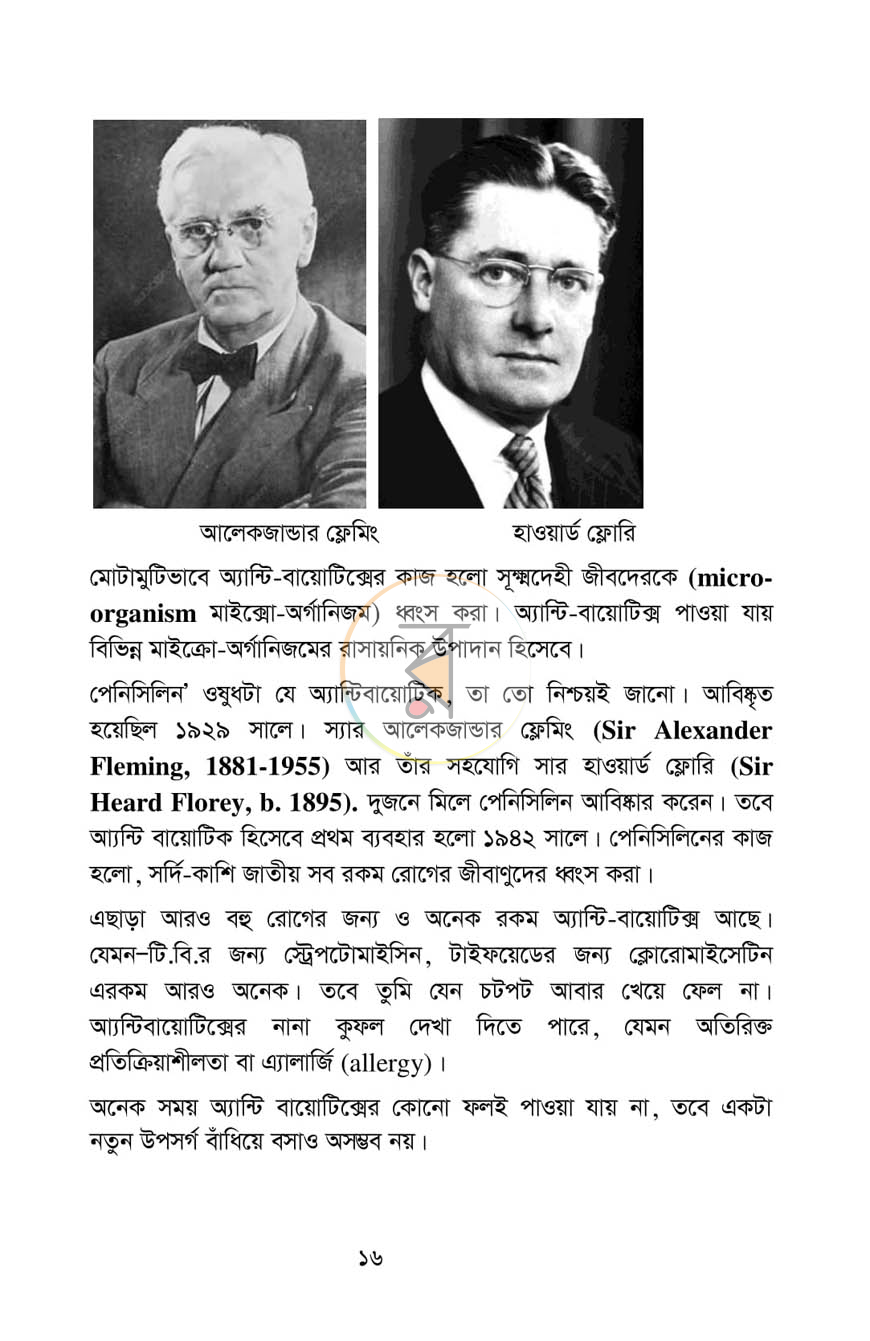 পাতা 11