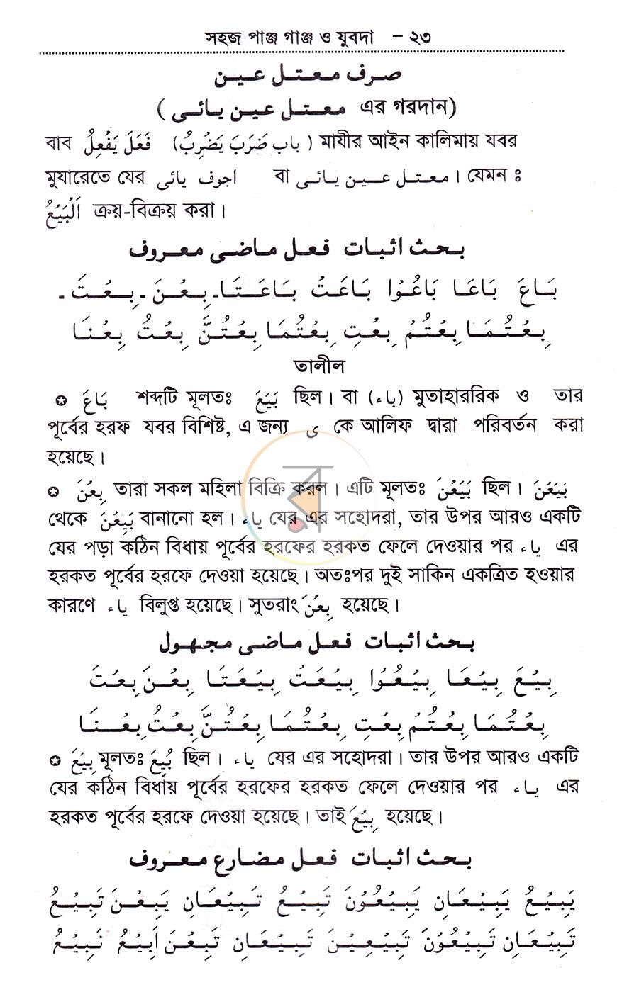 পাতা 11