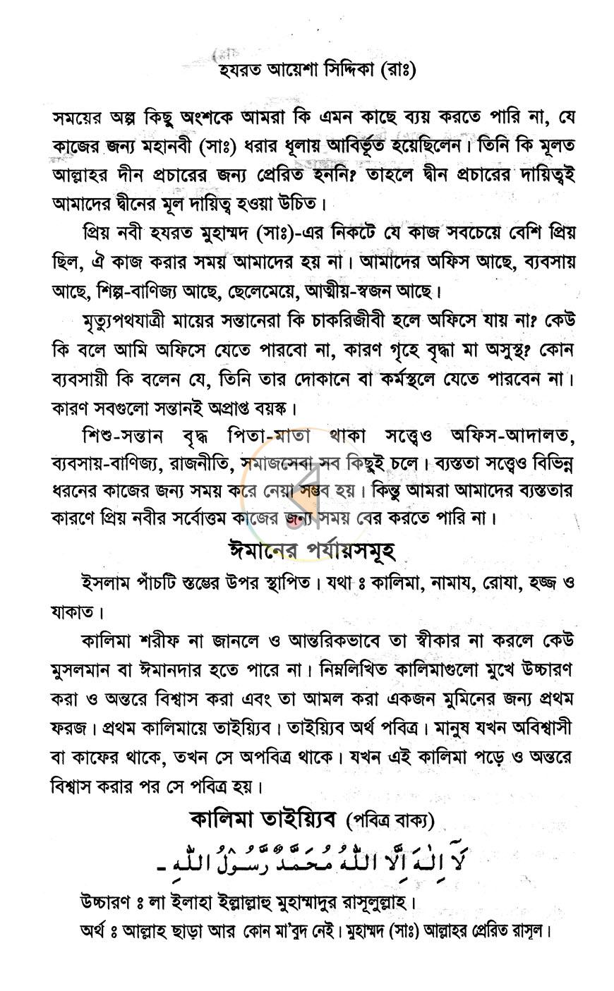 পাতা 11
