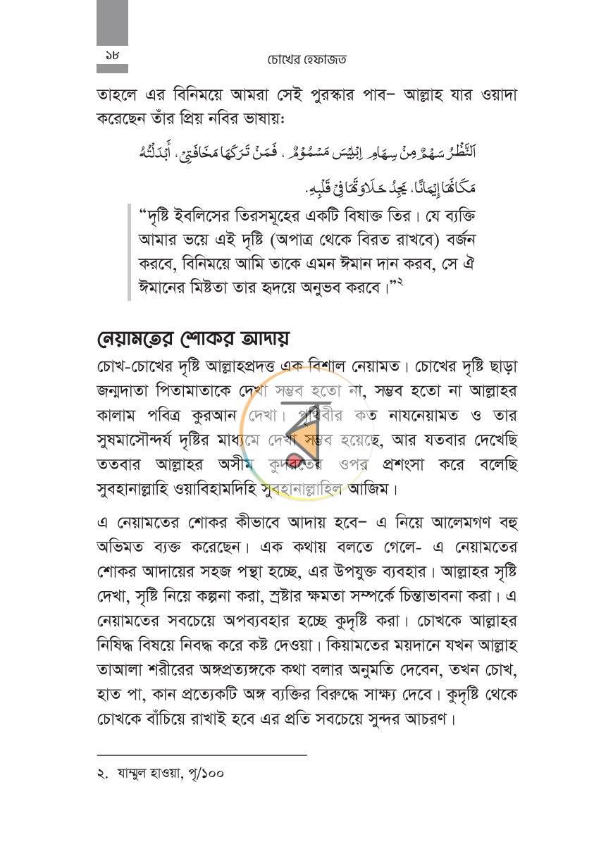 পাতা 17