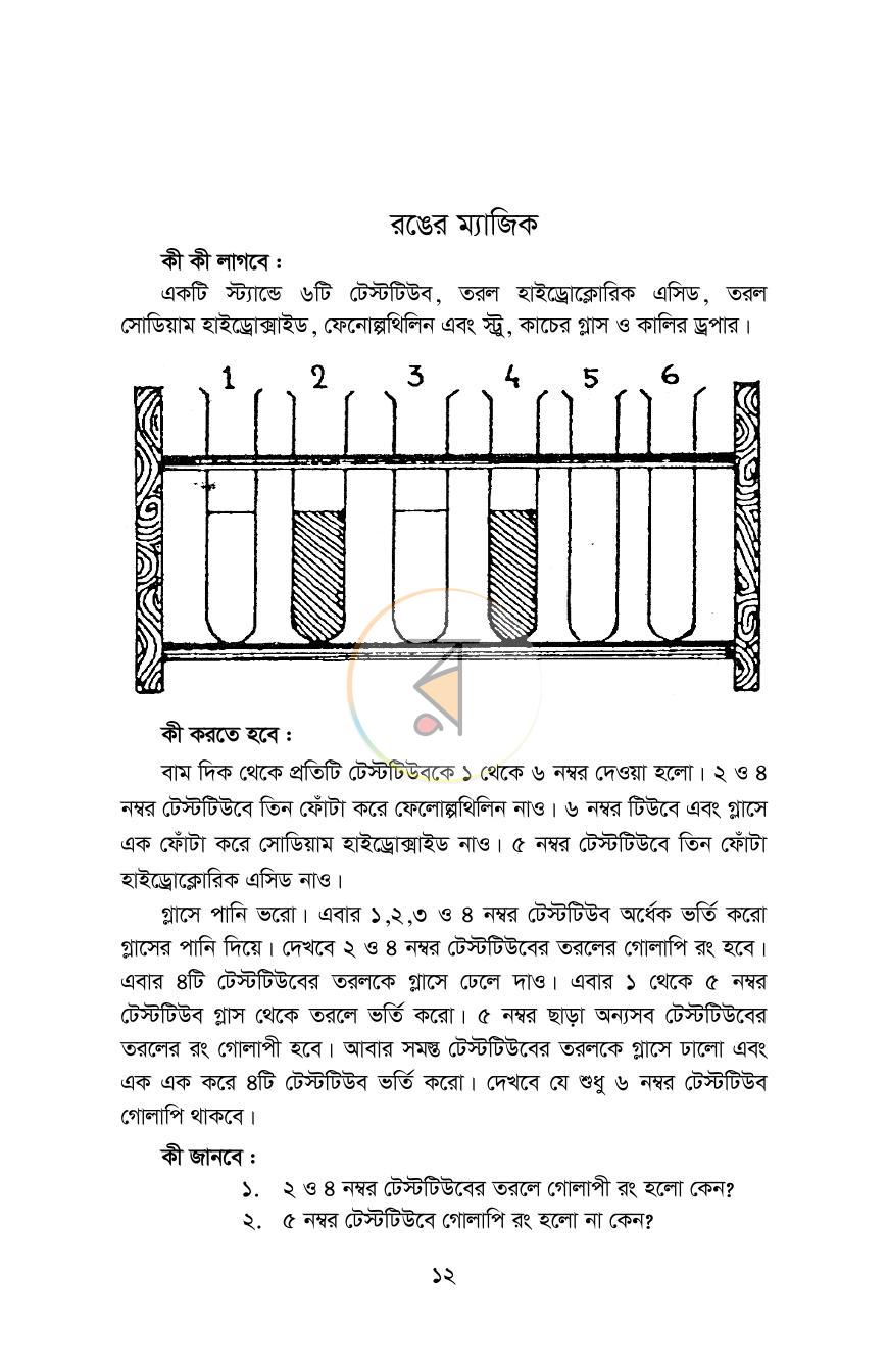 পাতা 11