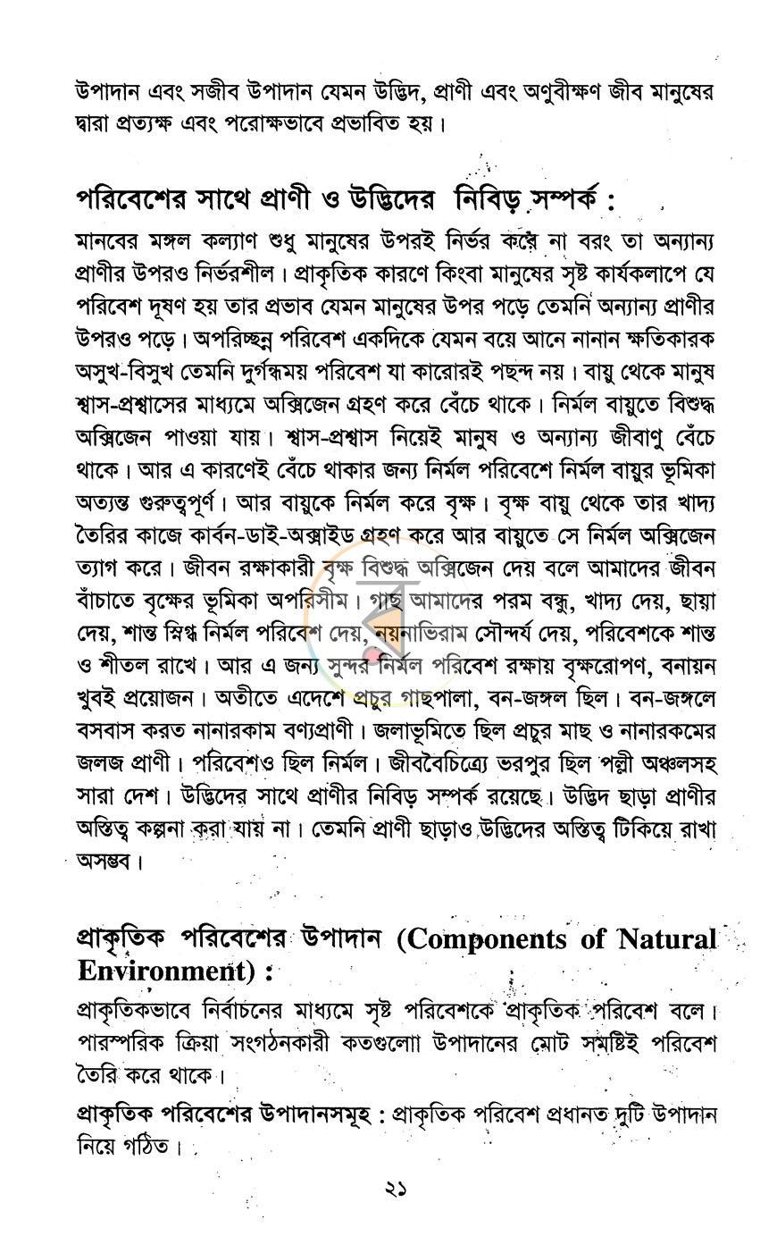 পাতা 11