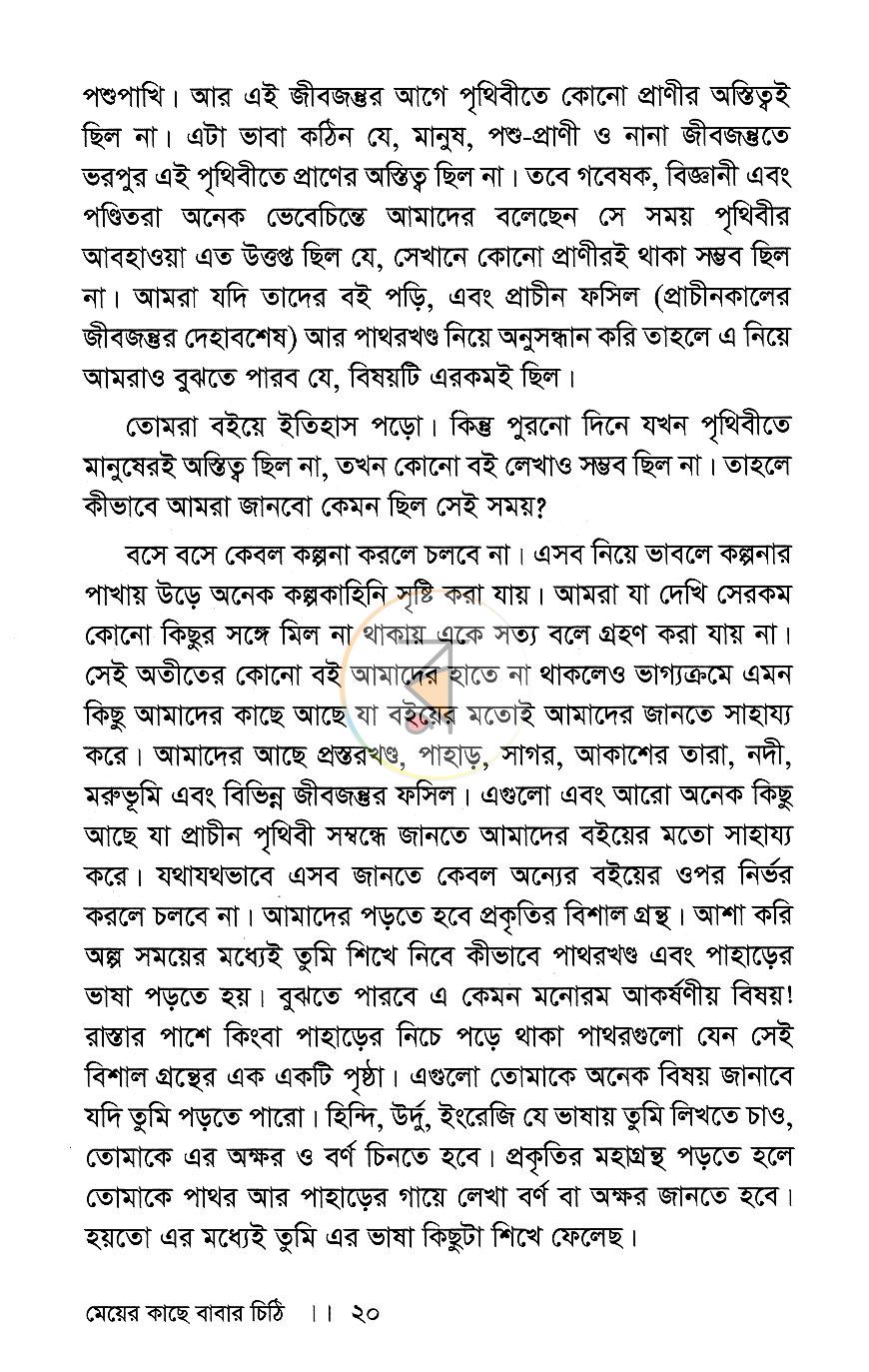 পাতা 8