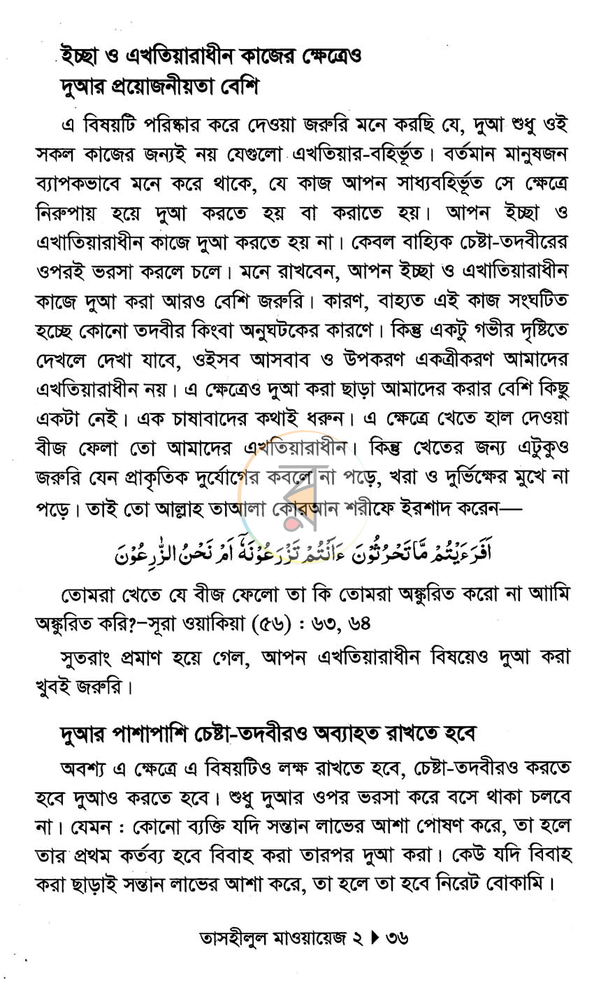 পাতা 13