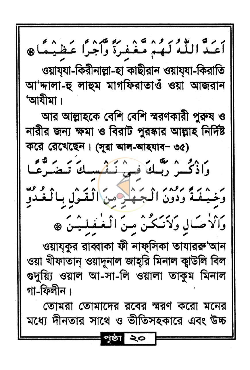 পাতা 11