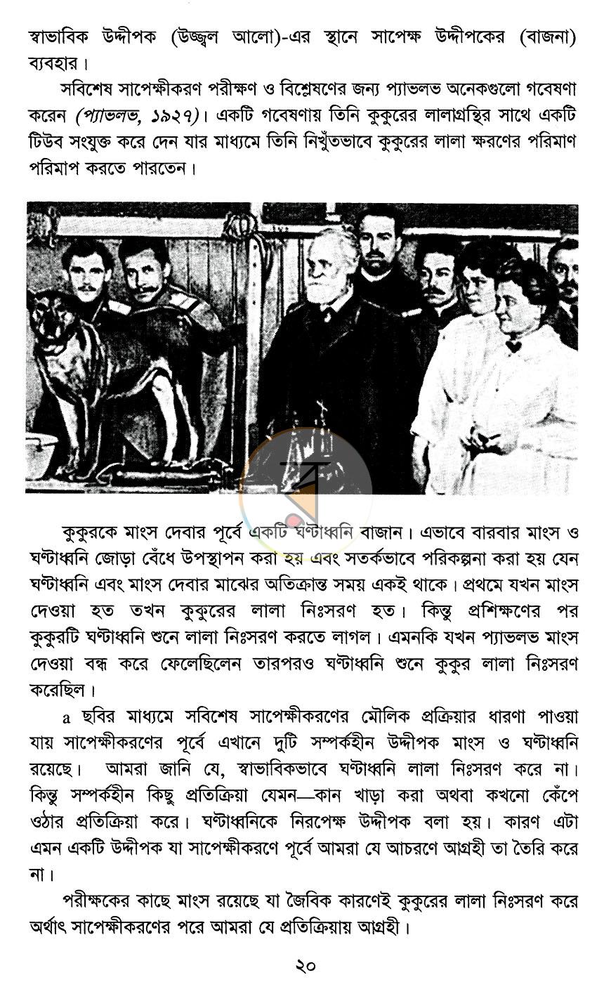 পাতা 9