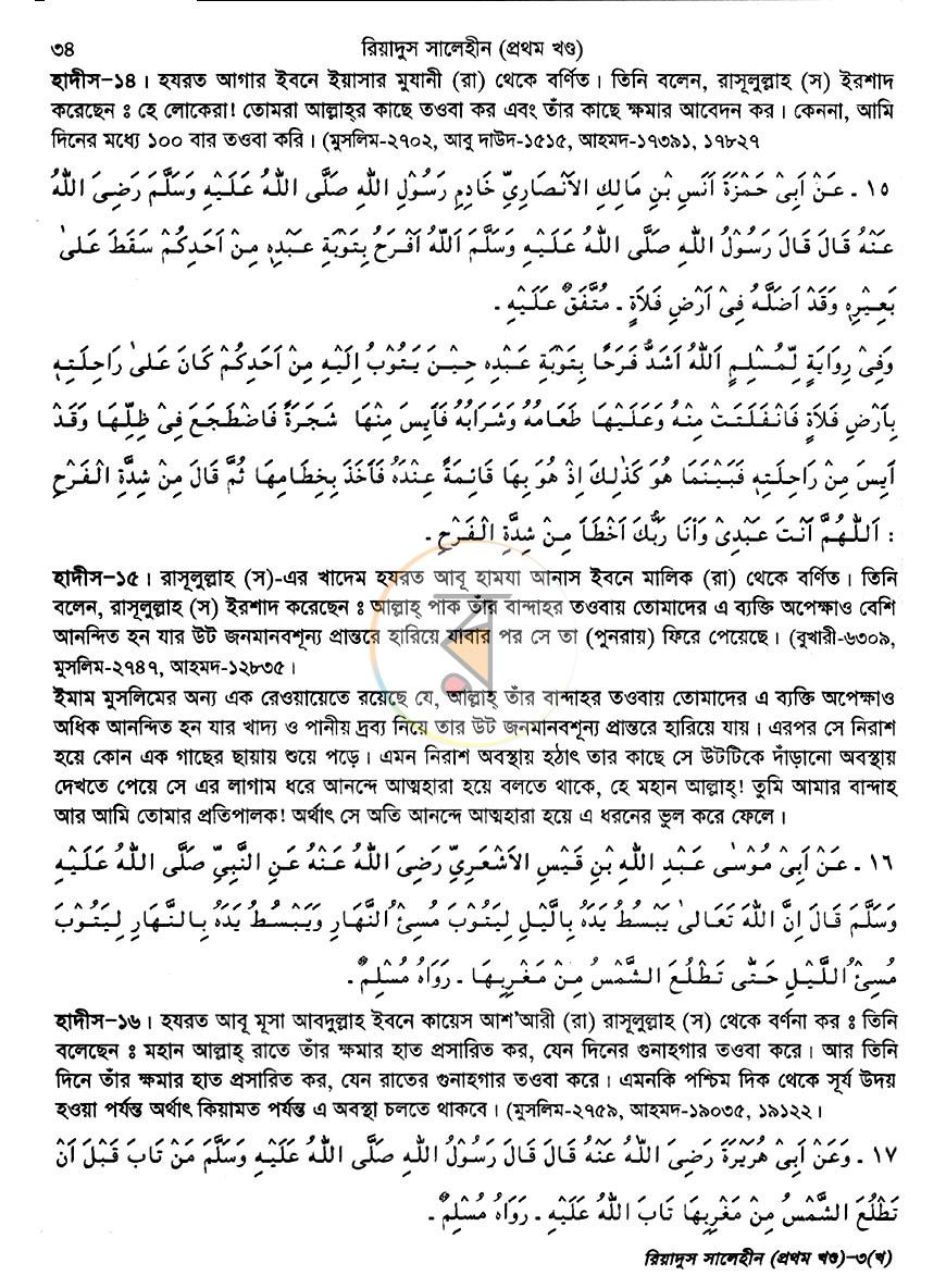পাতা 13