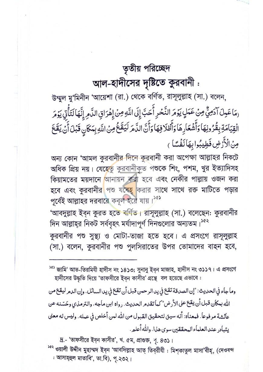 পাতা 11