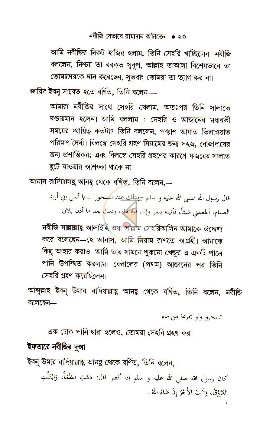 পাতা 11