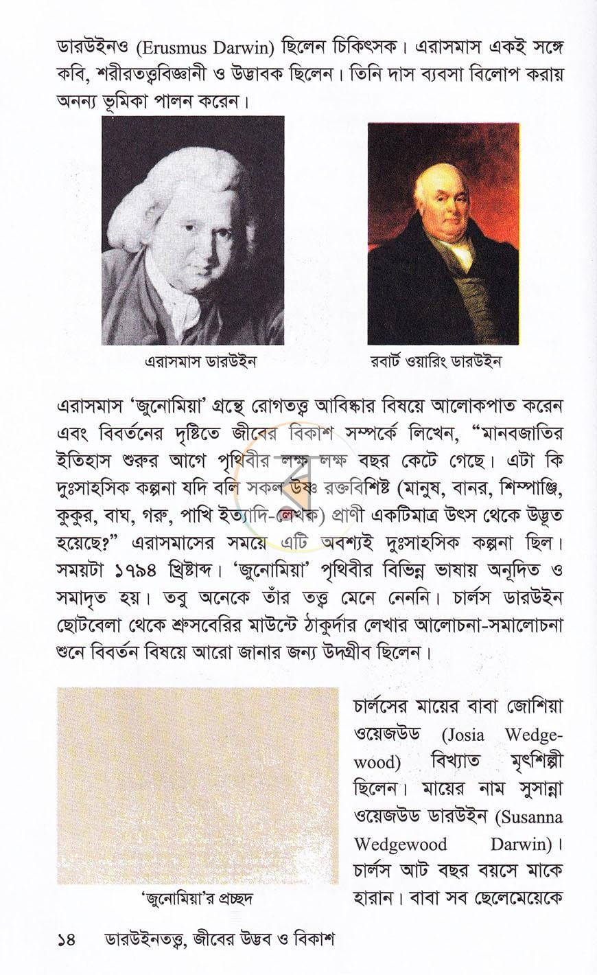 পাতা 11