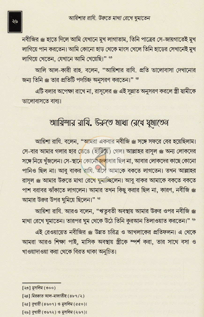 পাতা 13