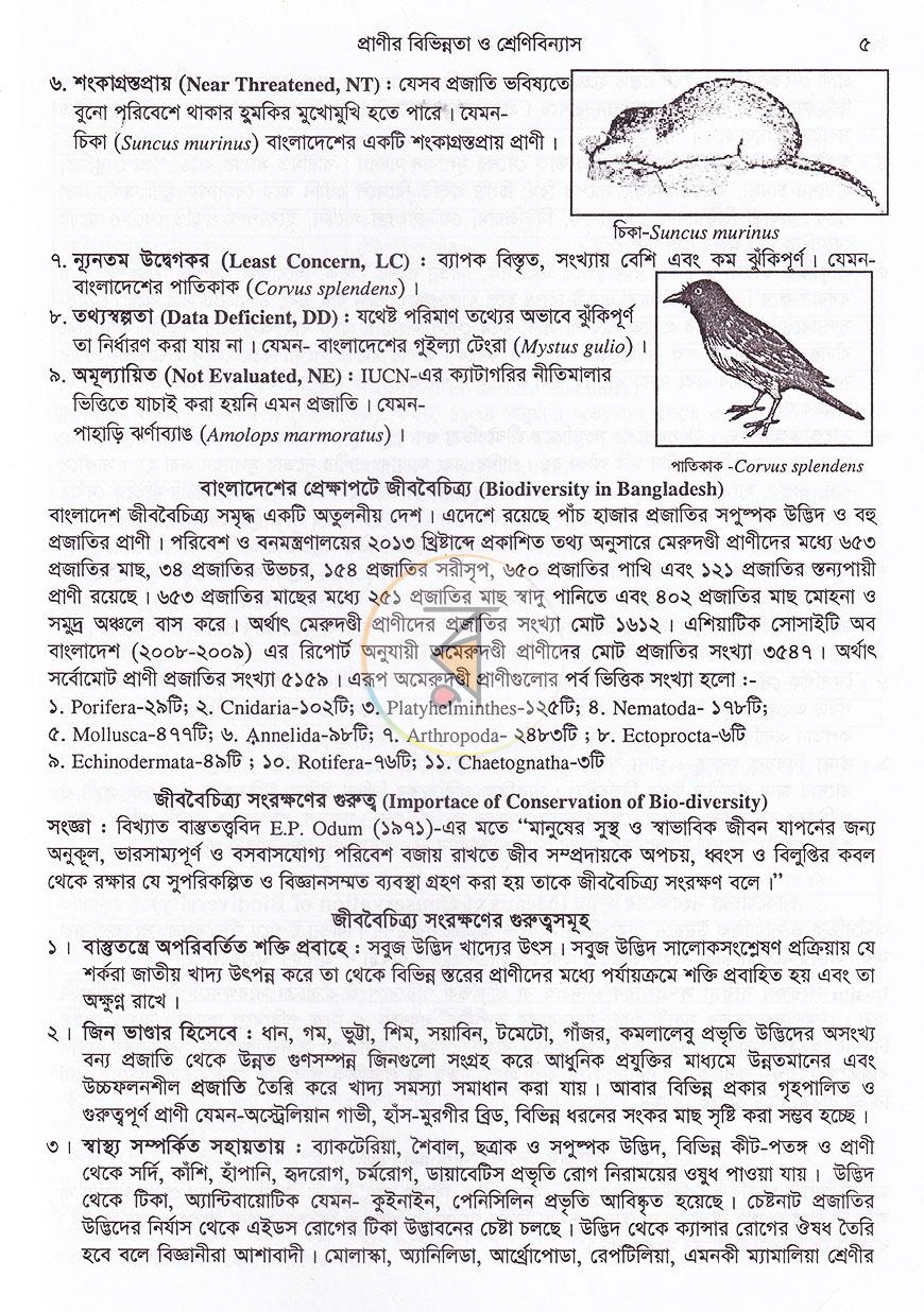 পাতা 13