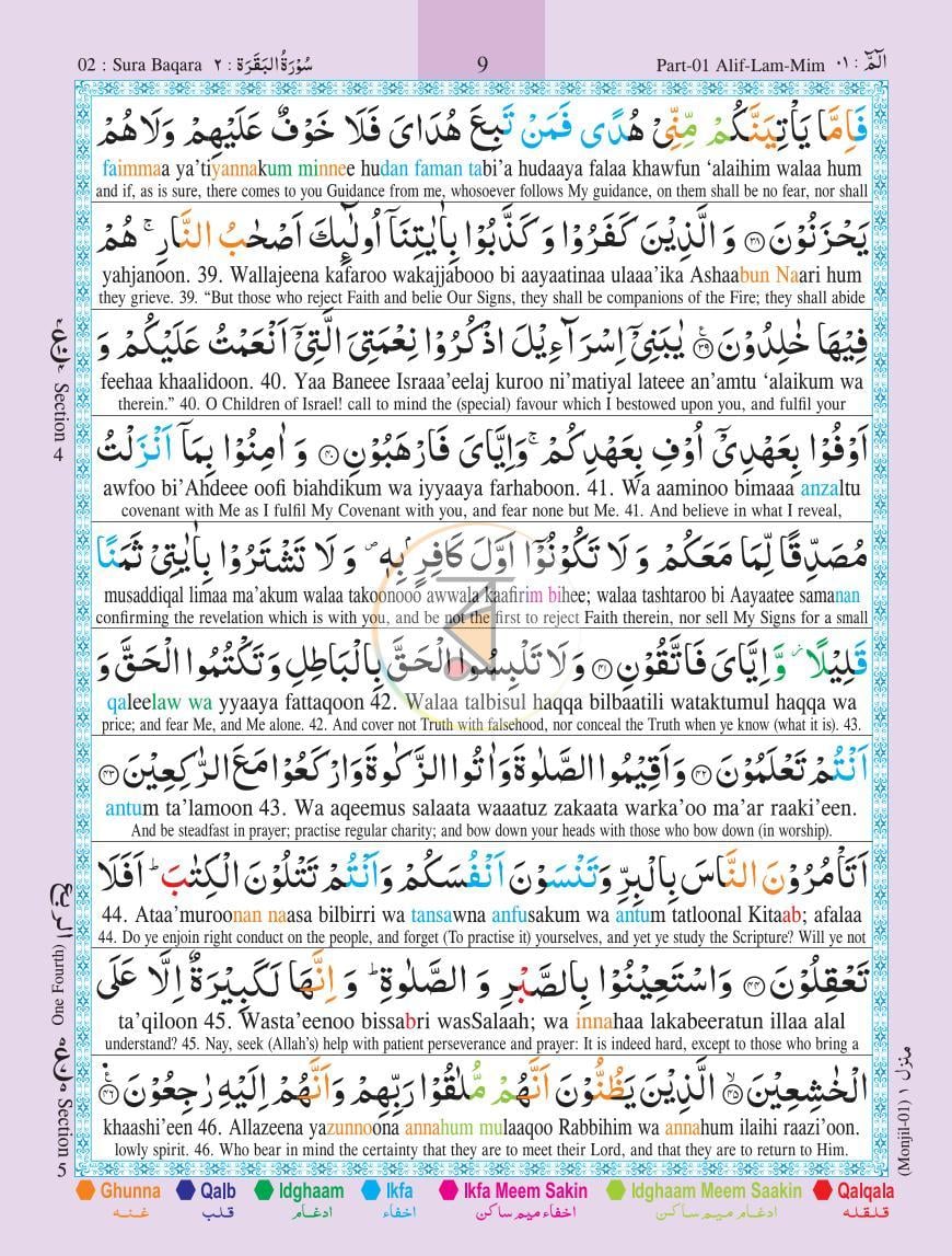 পাতা 14