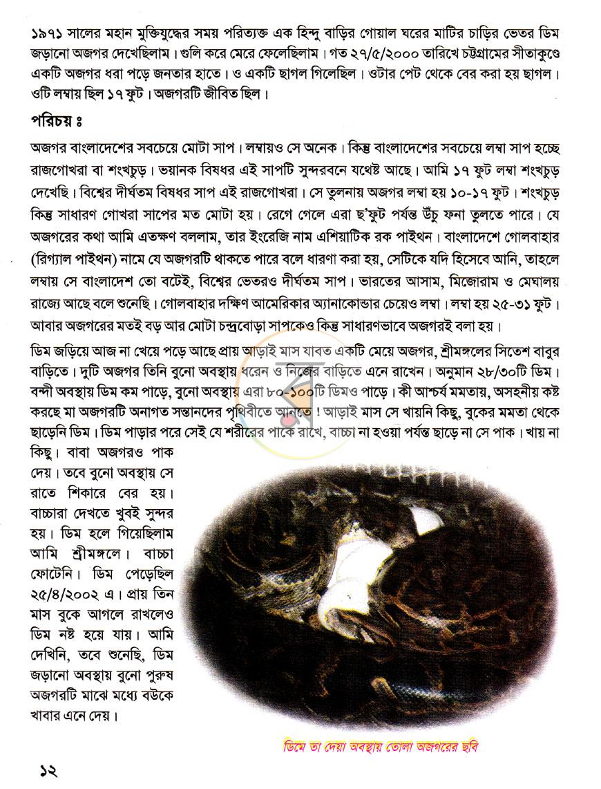 পাতা 10