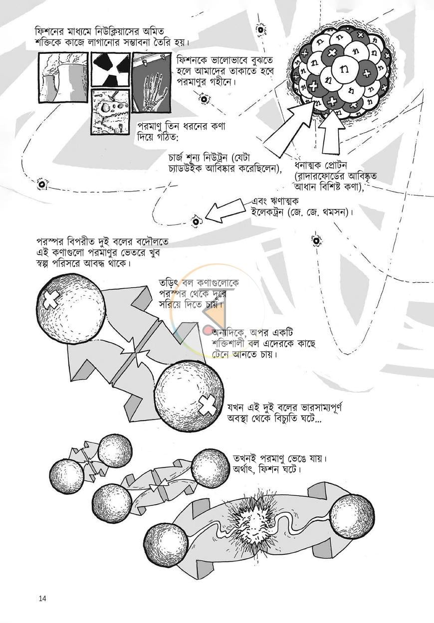 পাতা 11