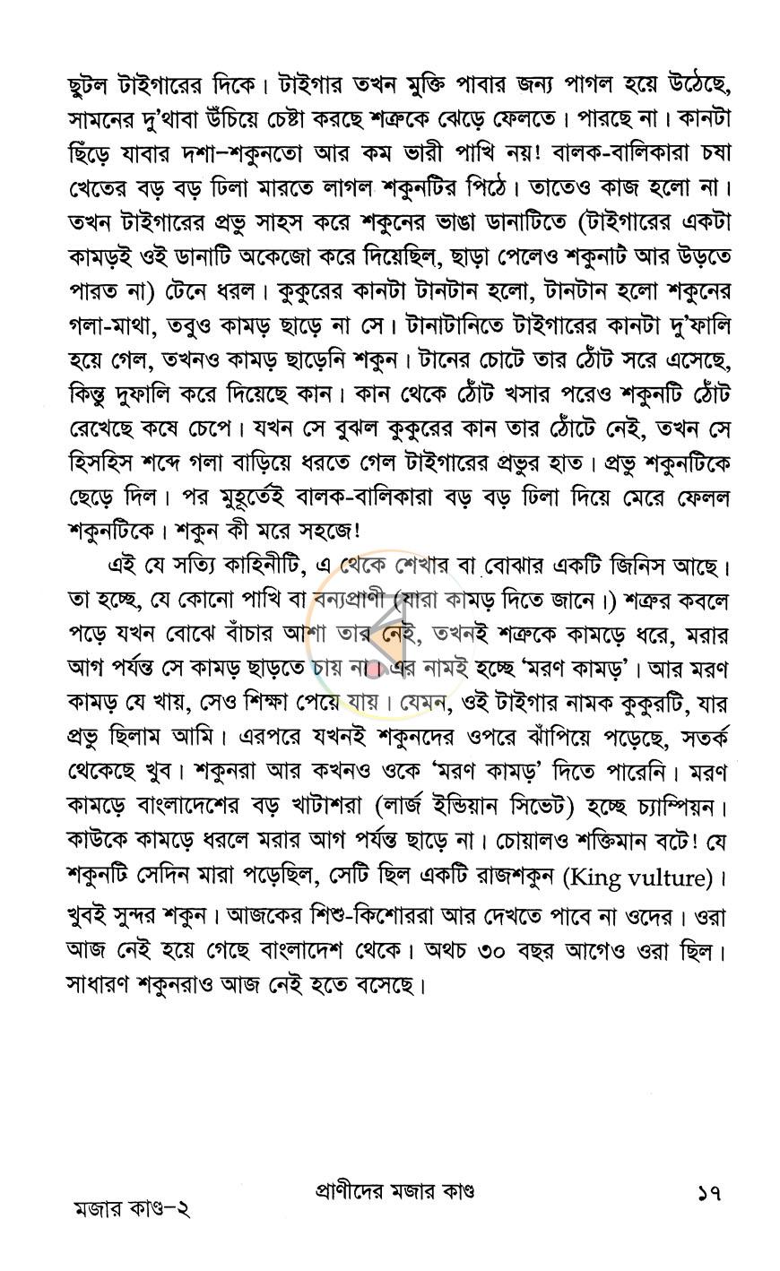 পাতা 13