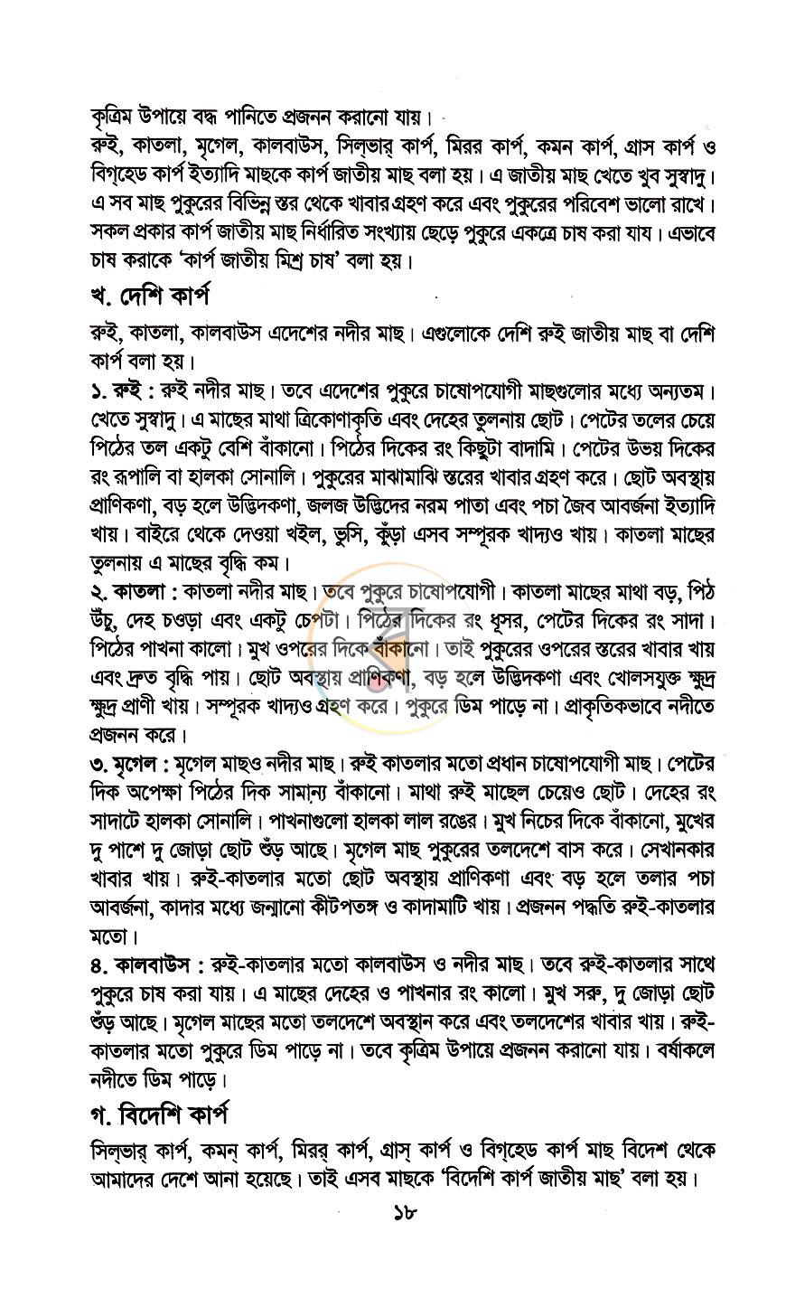 পাতা 11