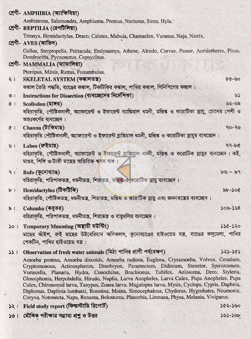 পাতা 6