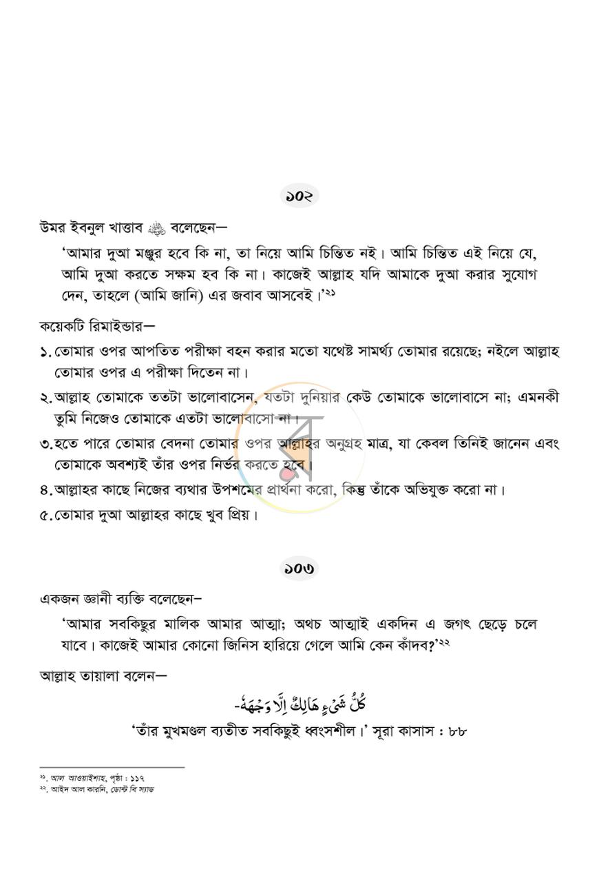 পাতা 13