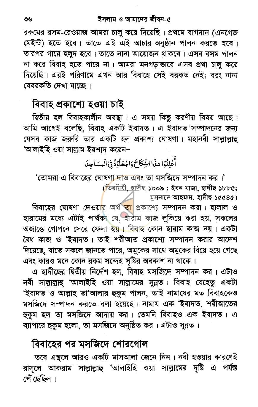 পাতা 13