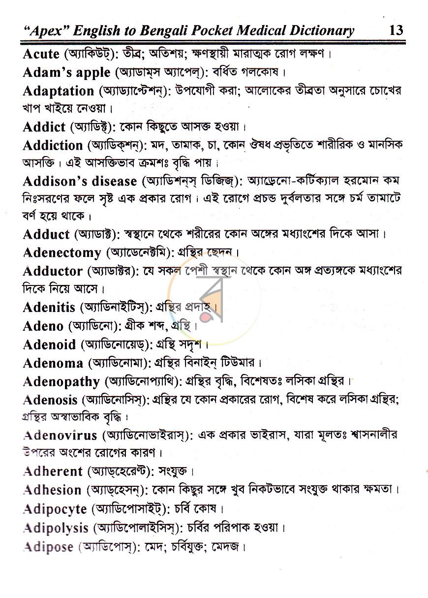 পাতা 11