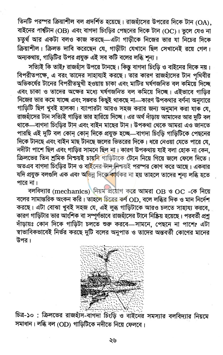 পাতা 10