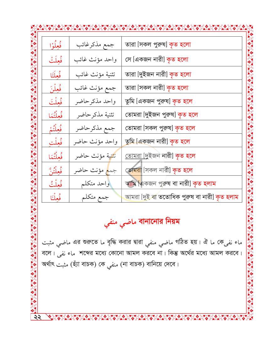 পাতা 8