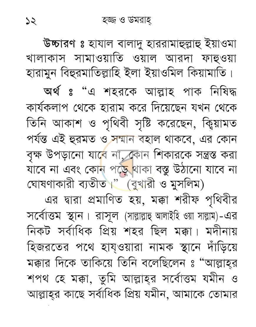 পাতা 11