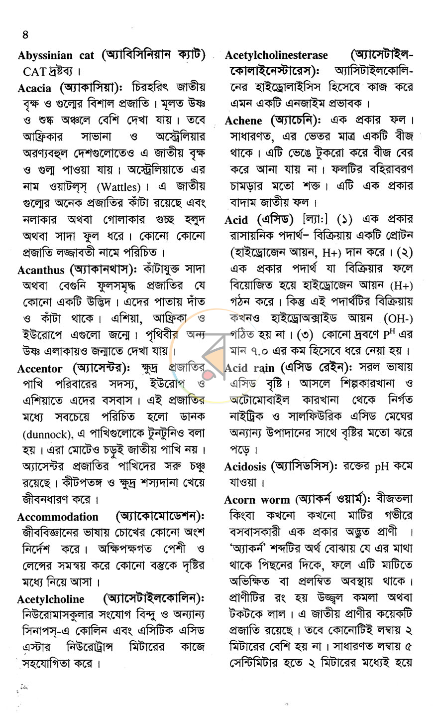 পাতা 3