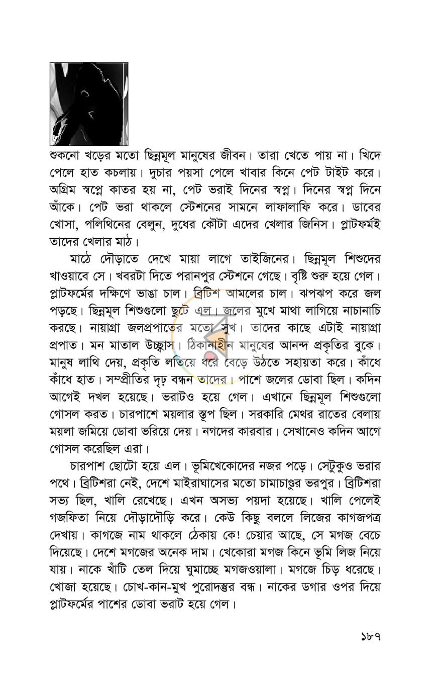 পাতা 12