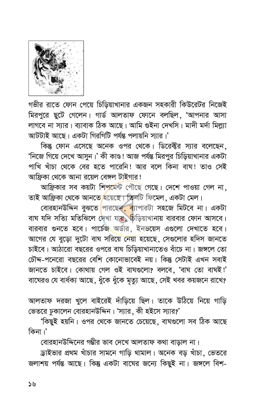 পাতা 13
