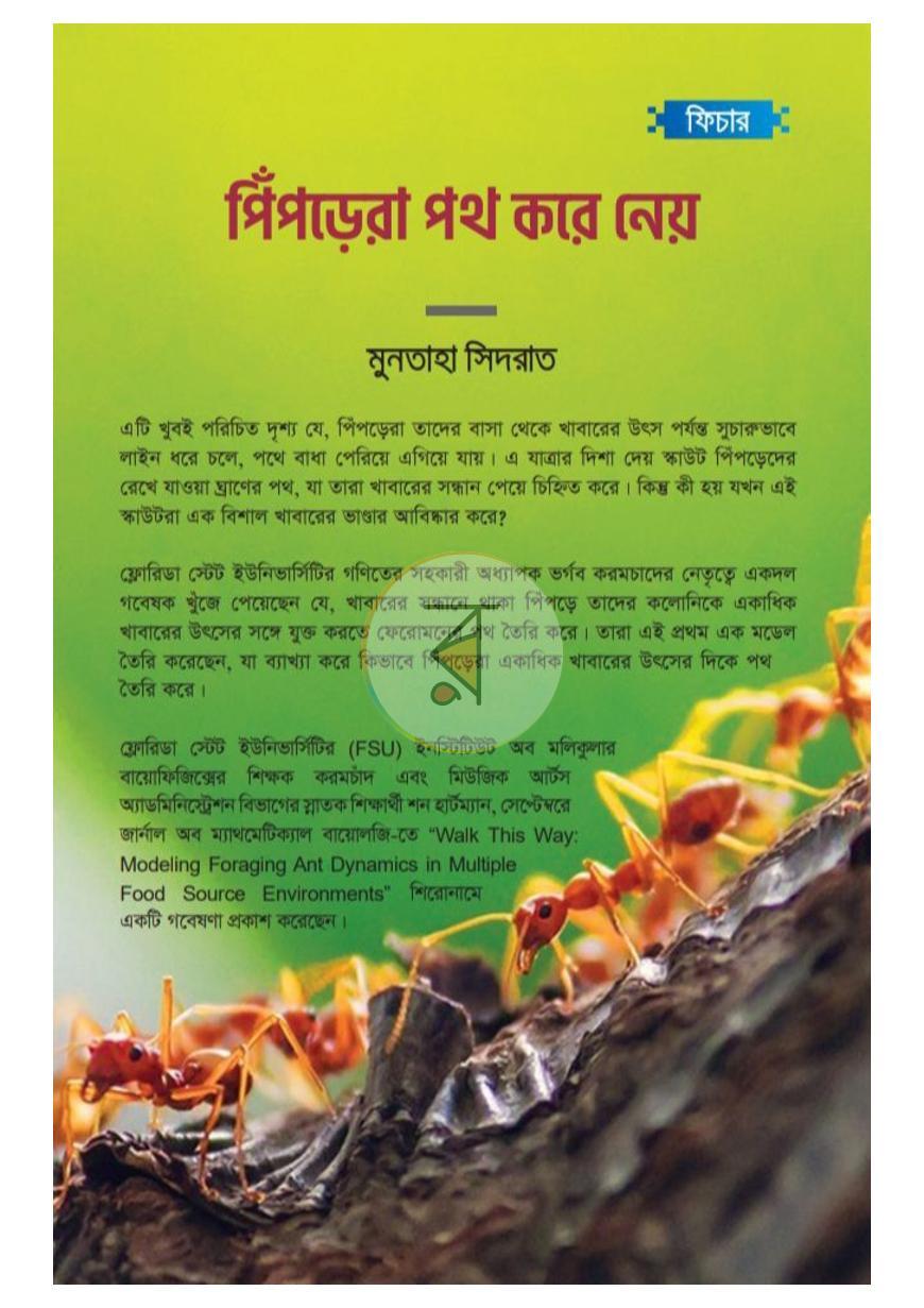 পাতা 12