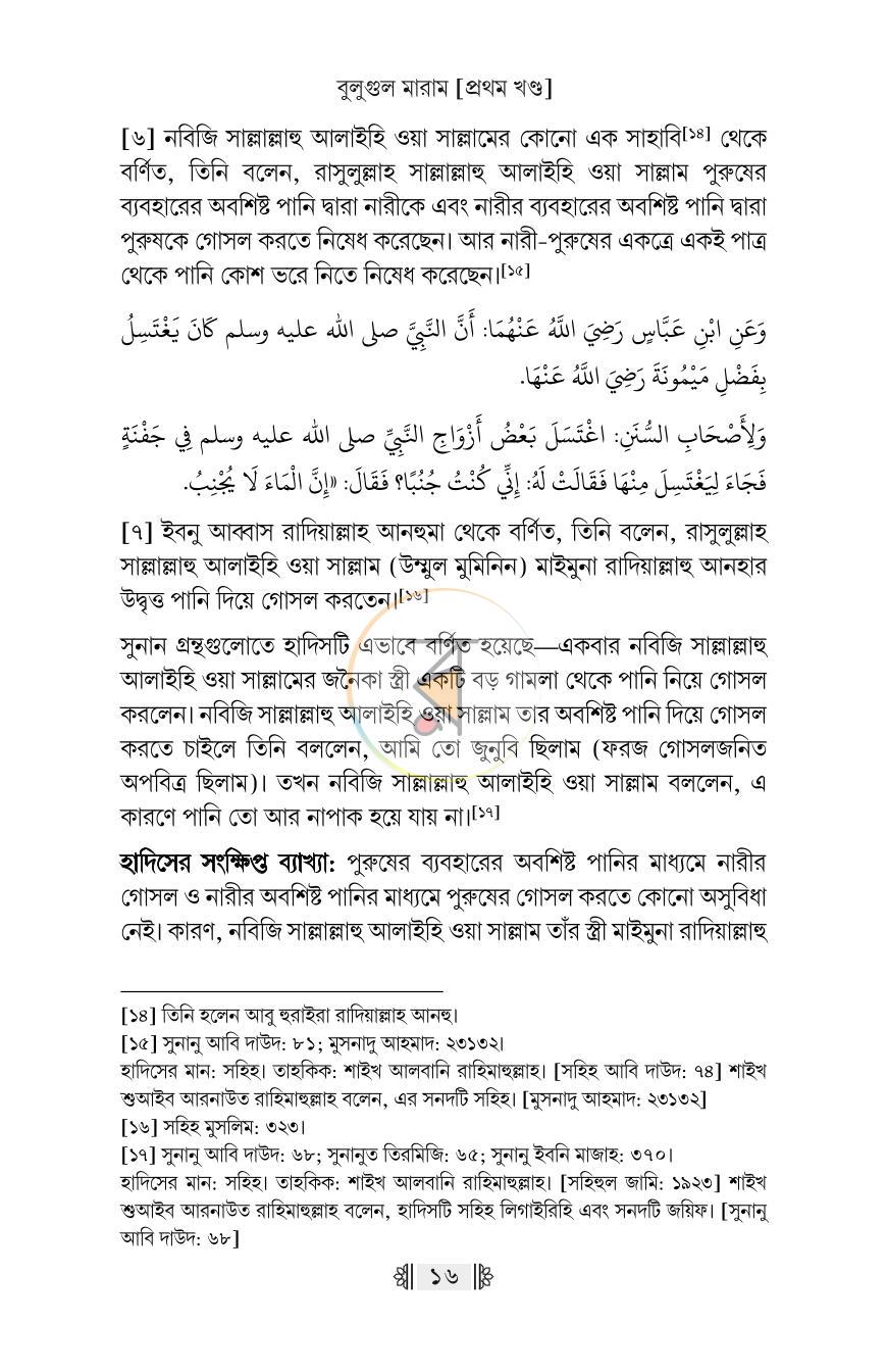 পাতা 13