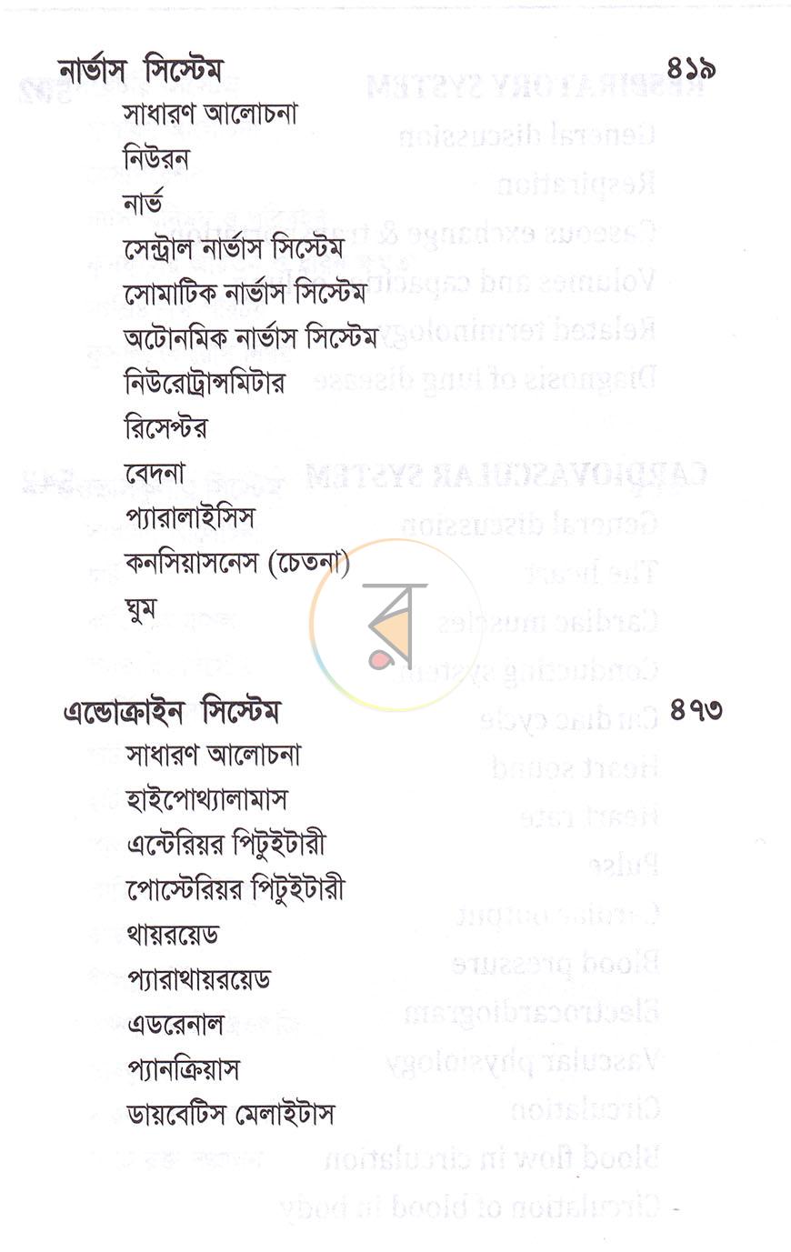পাতা 13