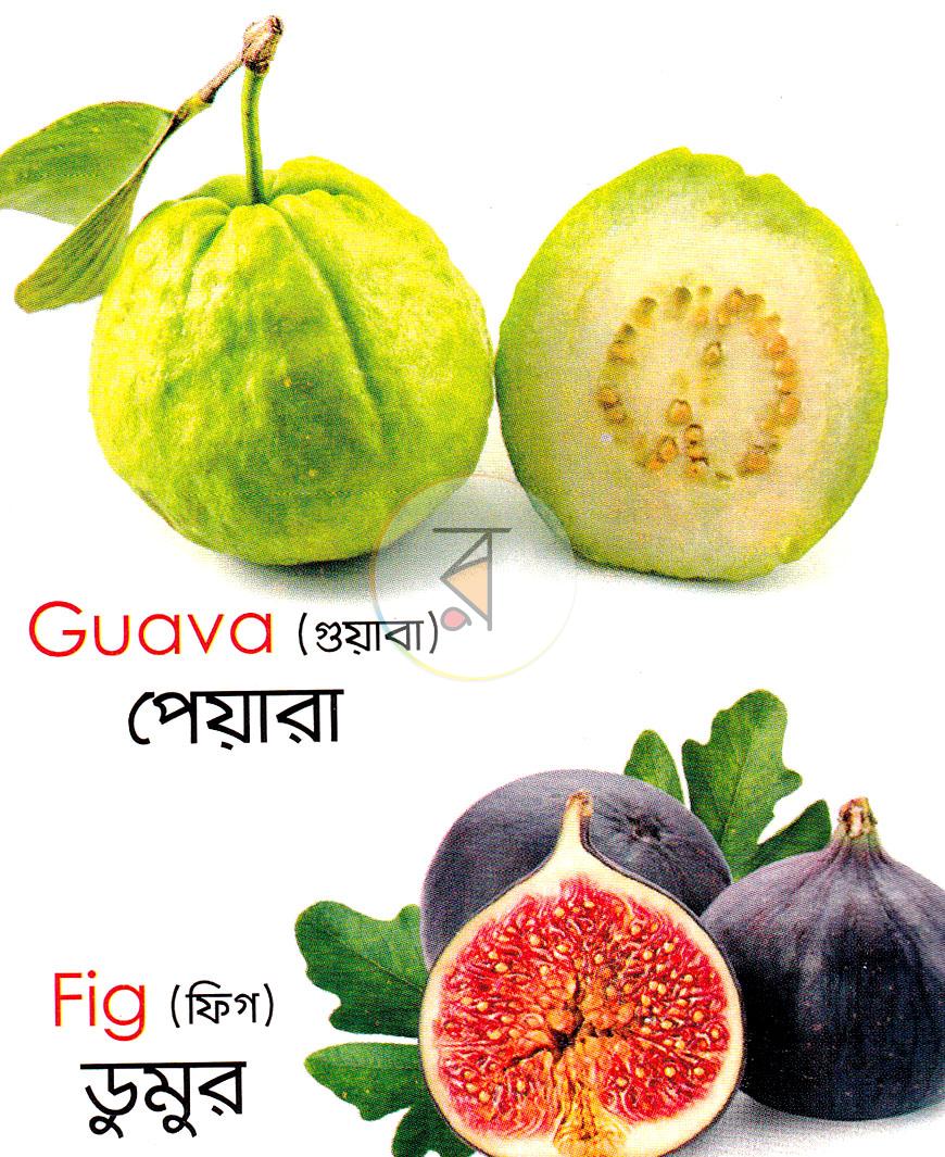 পাতা 3