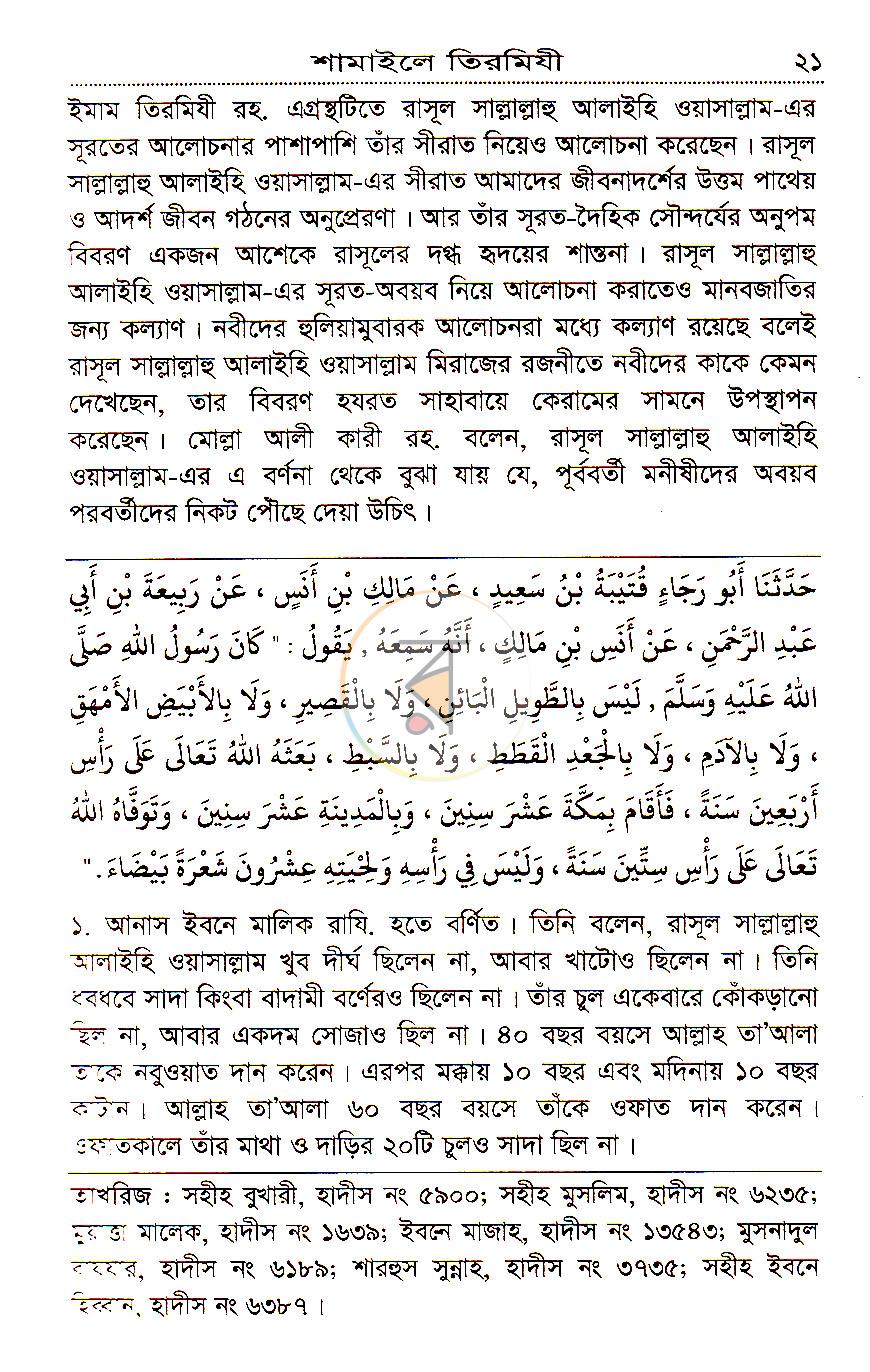 পাতা 13