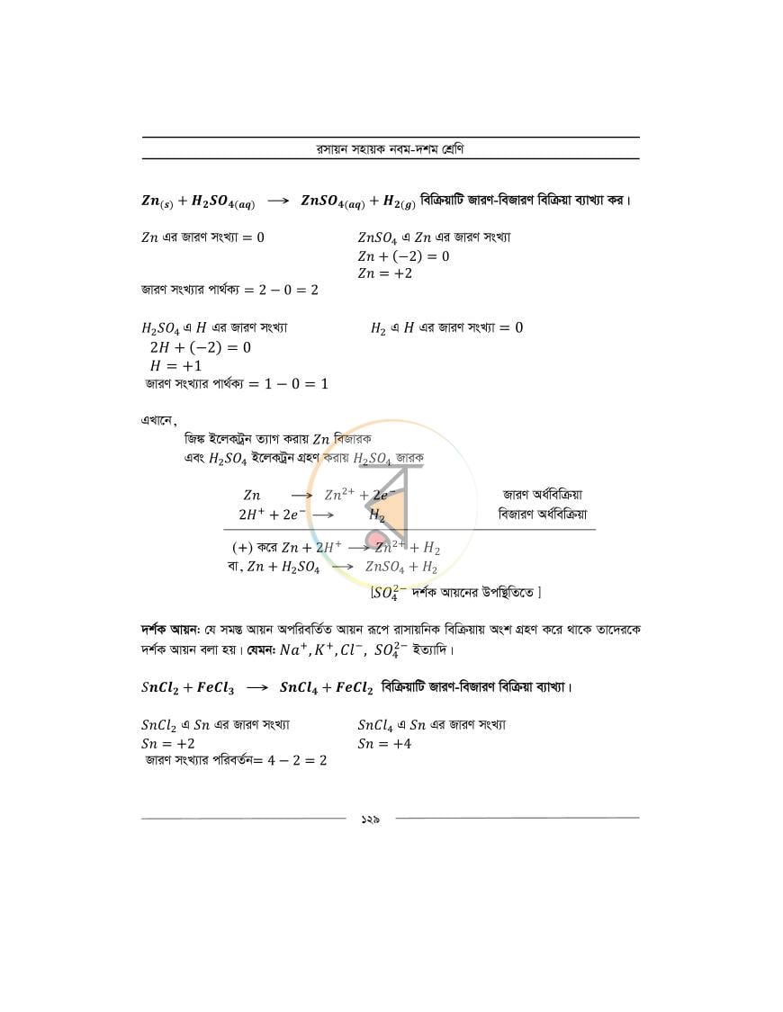 পাতা 11