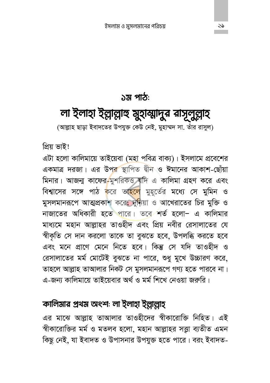 পাতা 19
